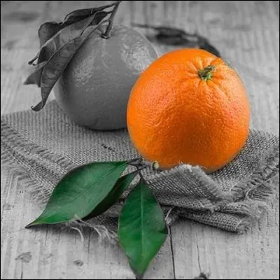 Quel fruit est issu du croisement entre la mandarine et la bigarade ?