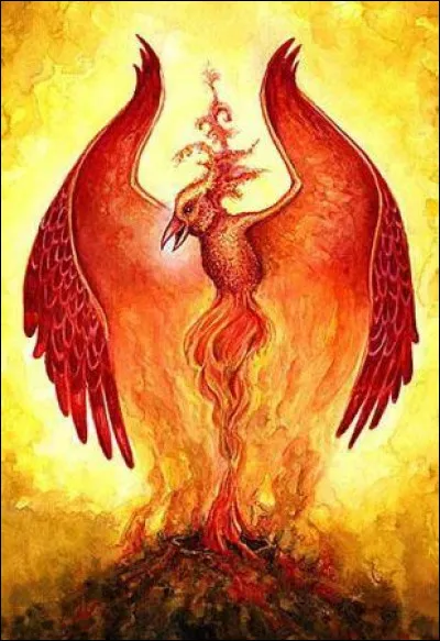 Qui ne fait pas partie de l'ordre du phénix ?