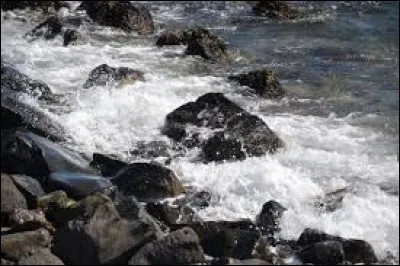 L'auteur du livre "L'Écume des jours" est Boris Vian.