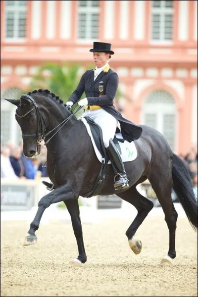 Quelle discipline voit-on sur l'illustration ?