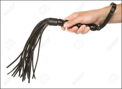 Je comprends que vous vous occupiez, mais vous auriez pu trouver autre chose &agrave; faire, c'est quand m&ecirc;me cruel et ill&eacute;gal. Avec qui risquez-vous d'avoir des ennuis ?