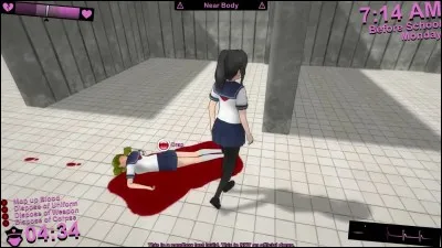 Quelles personnes détestent Ayano ?