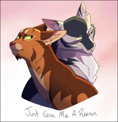 As-tu un compagnon/une compagne ?