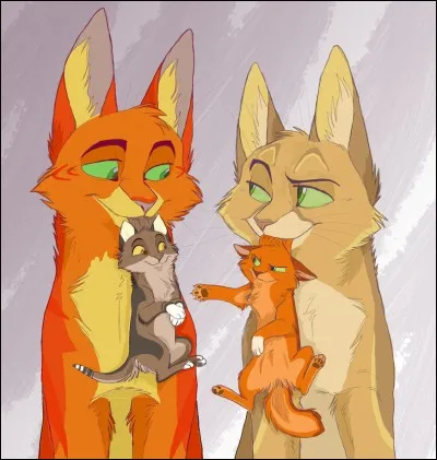 Veux-tu avoir des chatons ?