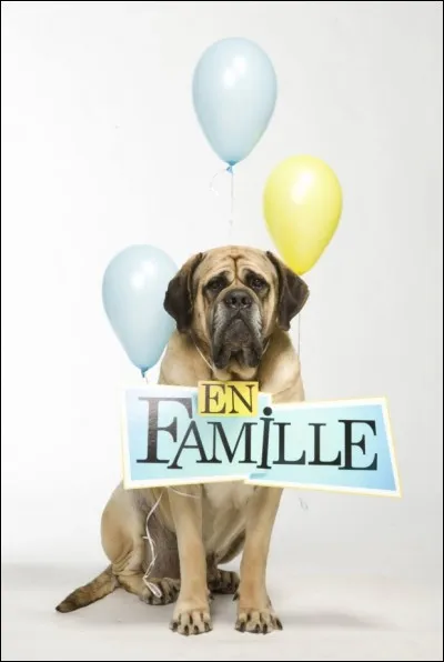 Quel est le prénom du vétérinaire de Pupuce, le chien de Marjorie ?