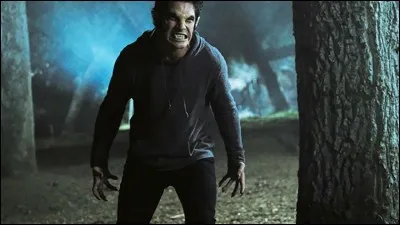 Qui est le vrai Alpha ?