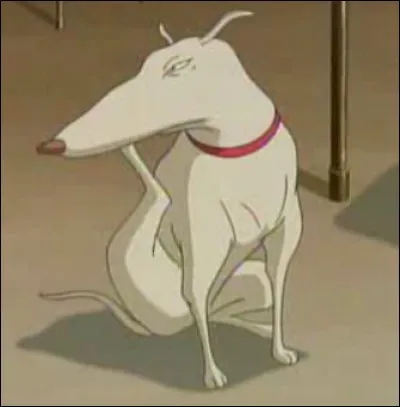 Quel est le nom de ce chien ?