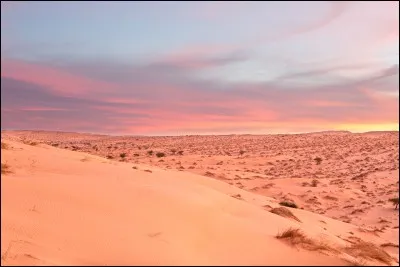 Le grand désert de sable est une vaste plaine désertique de _____ dans le nord-ouest de l'Australie.