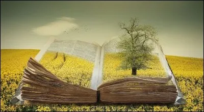 Qui a écrit "Pour qui sonne le glas" ?