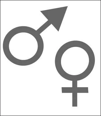 La chanson de geste est trs rpandue au Moyen-Age. Quel est le genre du mot 'geste' dans cette expression ?