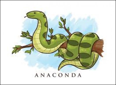 De quelle façon l'anaconda tue-t-il sa proie ?