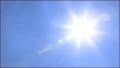 Pourquoi les reptiles et les amphibiens s'exposent-ils longuement au soleil ?