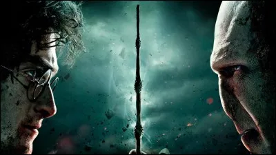 Durant le combat final dans "Harry Potter 7", quelle battle as-tu préféré ?