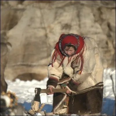 Quel peuple autochtone de Sibérie constitue la plus importante des 26 ethnies de Sibérie ?