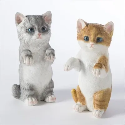 Quel est le nom de guerrier d'Étoile Noire ?