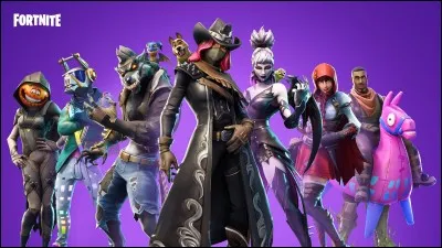 Qui sont les développeurs de "Fortnite" ?