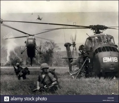 Quelle série raconte l'histoire de la compagnie Bravo, un peloton de jeunes soldats américains, pendant la guerre du Viêt Nam ?