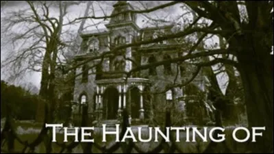 Dans quelle série plusieurs frères et sœurs qui ont grandi dans une demeure qui allait devenir la maison hantée la plus célèbre des États-Unis sont contraints de se retrouver pour faire face à cette tragédie ensemble ?