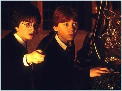 Combien de points Harry et Ron ont-ils fait gagner  Gryffondor ?