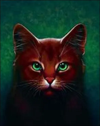 Quel chef du clan du Tonnerre préfères-tu ?