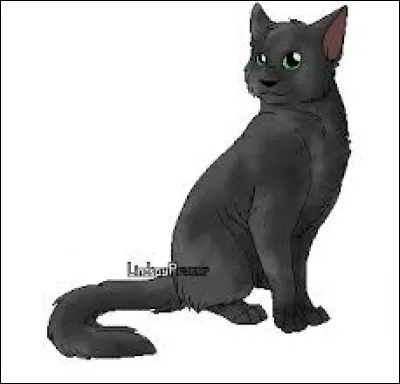 Quel chef du clan de la Rivière préfères-tu ?