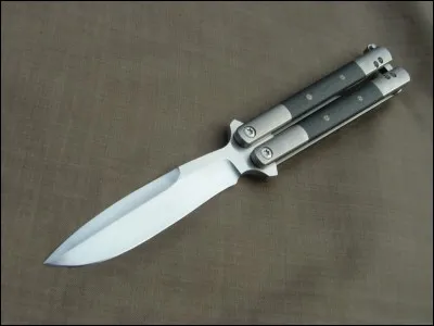 Comment s'appelle cette arme ?