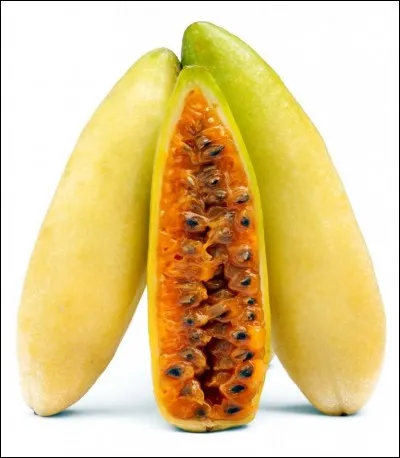 Ce fruit a un nom qui ressemble a un instrument. C'est le...