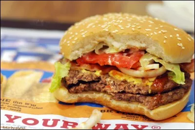En 1998 (1er avril ?) Burger King a diffusé une publicité vantant une innovation pour un de ses burgers. Quelle était-elle ?