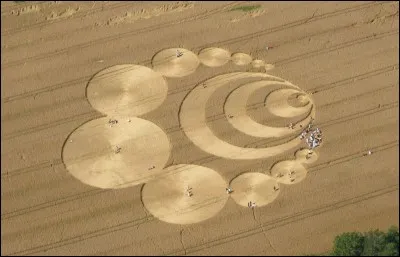 Les agroglyphes ou agrogrammes sont de vastes "ronds" dans les champs, d'un simple cercle de quelques mètres de diamètre à des compositions de plusieurs hectares comportant de nombreuses figures disposées géométriquement. Qu'étaient-ils supposés représenter ?