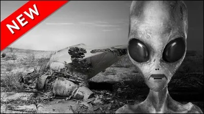 L'affaire de Roswell concerne un vaisseau extraterrestre qui se serait écrasé dans le désert du Nouveau Mexique en 1947 et l'autopsie d'un alien. Qui a présenté tout ça très sérieusement sur TF1 ?