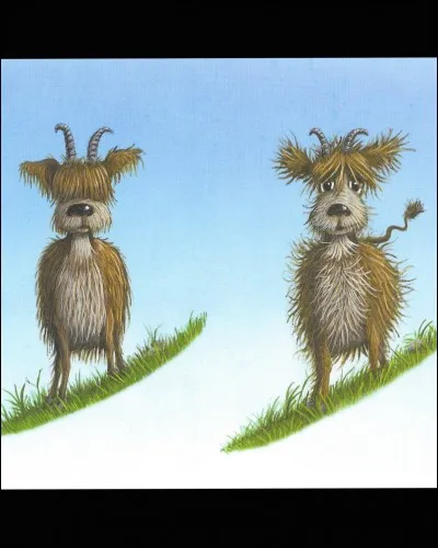 Nous avons tous participé à cette chasse extraordinaire où l'animal est capturé quand il se retourne et tombe du fait de la longueur inégale de ses membres. Qui chasse-t-on ?