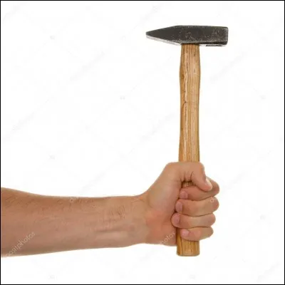 Quel nom, homonyme d'un outil, porte la plume arquée de la queue du coq ?