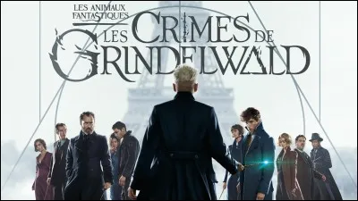 La sortie française au cinéma des "Animaux Fantastiques 2 : Les Crimes de Grindelwald" était le 14 novembre 2018.