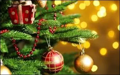 Le 25 décembre 2018 tombera un mercredi.