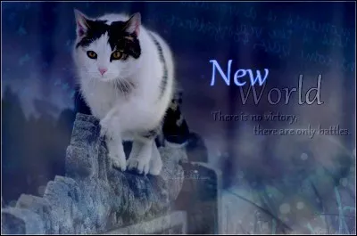 Quel est ton pire défaut ?