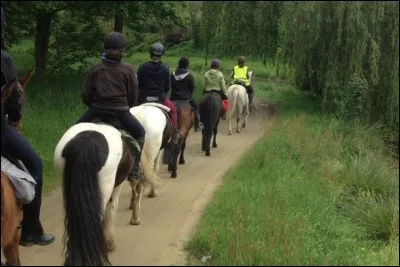 Quelles règles doivent suivre les cavaliers qui sont en promenade ?
