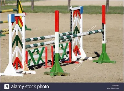 Comment s'appelle cet obstacle ?