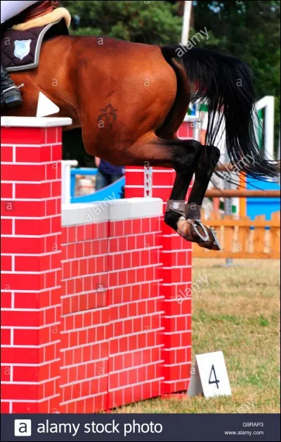 Comment s'appelle cet obstacle ?