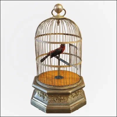 Lequel de ces animaux n'a-t-on pas le droit de posséder ?