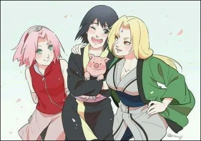 Tsunade a fait de _______ des ninjas médecins.