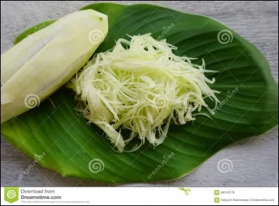 "L'Odeur de la papaye verte" est un film franco-vietnamien.