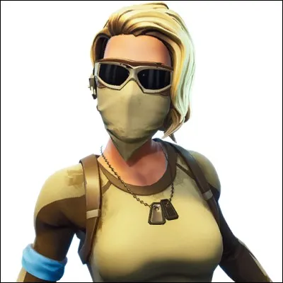 Skin atypique, qui coûte 800 V-bucks :