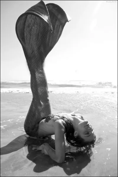 Observez bien l'illustration ! Et sachez bien vous entourer...