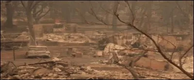 Mais tout n'est pas lumière...
Combien de personnes ont disparu dans l'incendie meurtrier que connaît la Californie, depuis le 8 novembre 2018, selon le bilan fait dans la nuit du 15 au 16 novembre ?