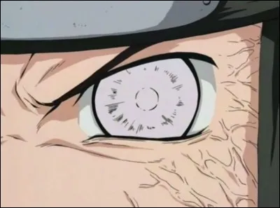 De quoi est capable le Byakugan ?