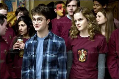 Entre ces quatre personnages de ''Harry Potter'', lequel préfères-tu ?