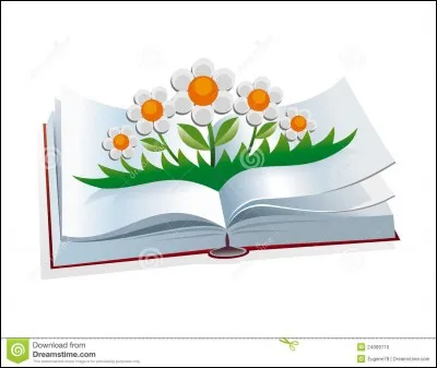 Qui a écrit "Rose et Ninette" ?