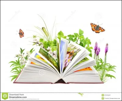 Qui est l'auteur de "Jack" ?