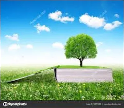 Qui a écrit "Un curé de province" ?