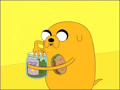 Qui est ce chien qui s'allonge ?